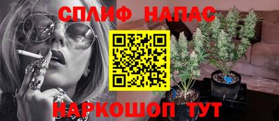 spice Гусь-Хрустальный