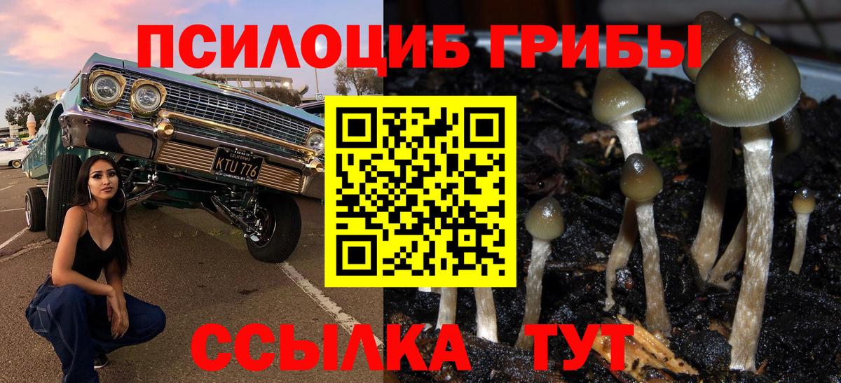Псилоцибиновые грибы мицелий  Вход с VPN  Чусовой  Псилоцибиновые грибы мицелий 