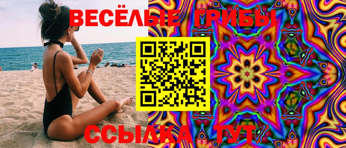 Галлюциногенные грибы Cubensis Чусовой